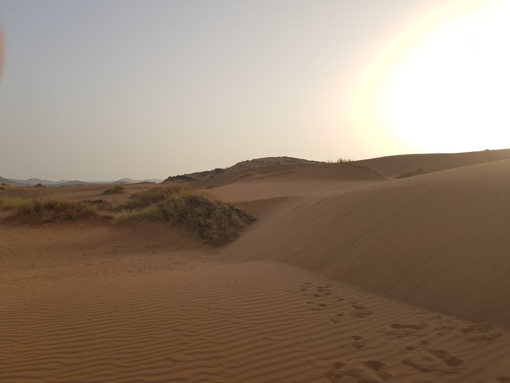 1 Day Agadir City Tour and Desert Experience With Lunch