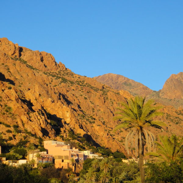 Agadir day trips