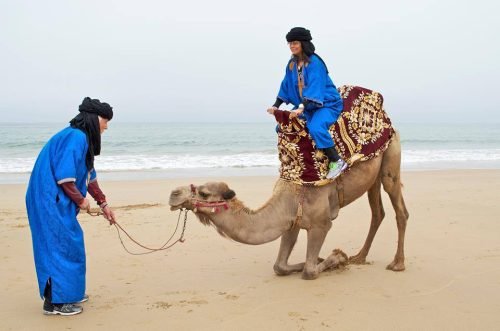 Taghazout Camel Ride