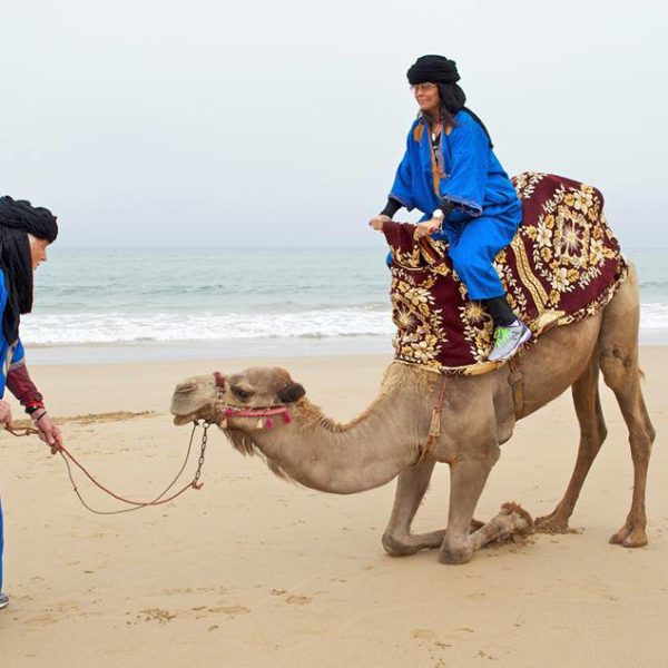 Taghazout Camel Ride