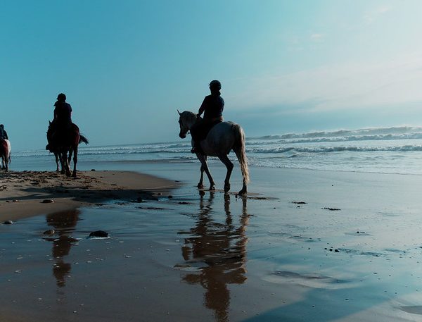 Agadir Horse Ride
