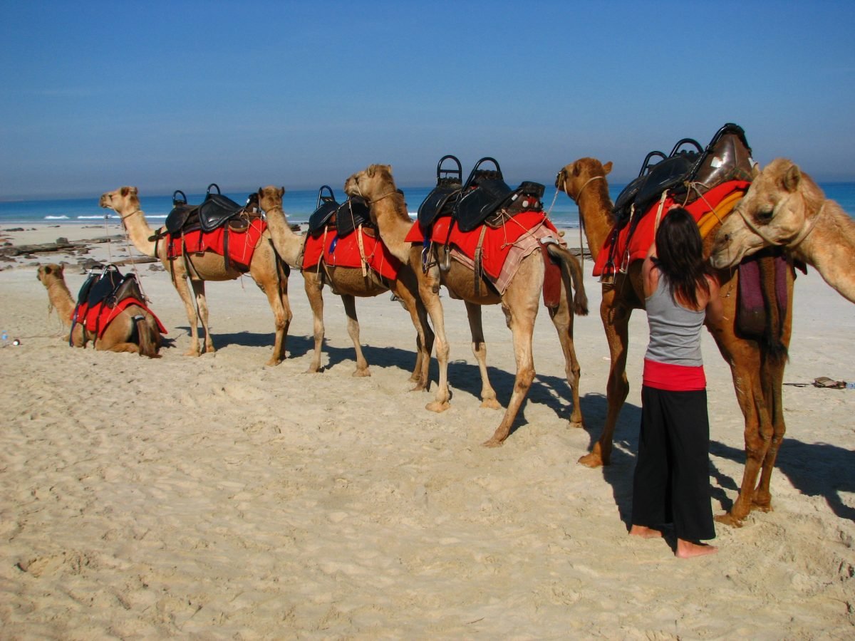 Agadir Kamelritt