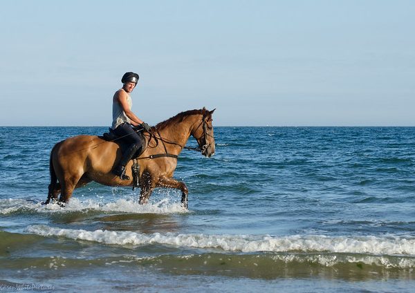 Agadir Horse Ride