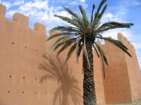private tour to Taroudant from Agadir