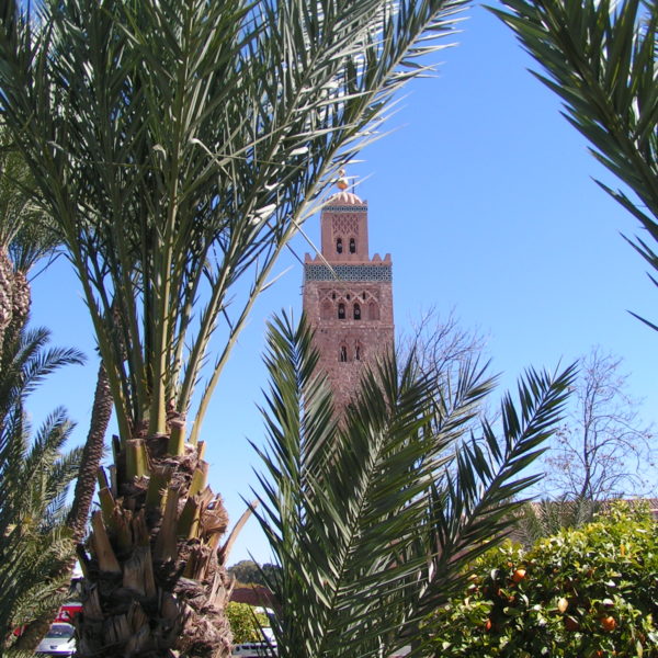Tagesausflug von Agadir nach Marrakesch