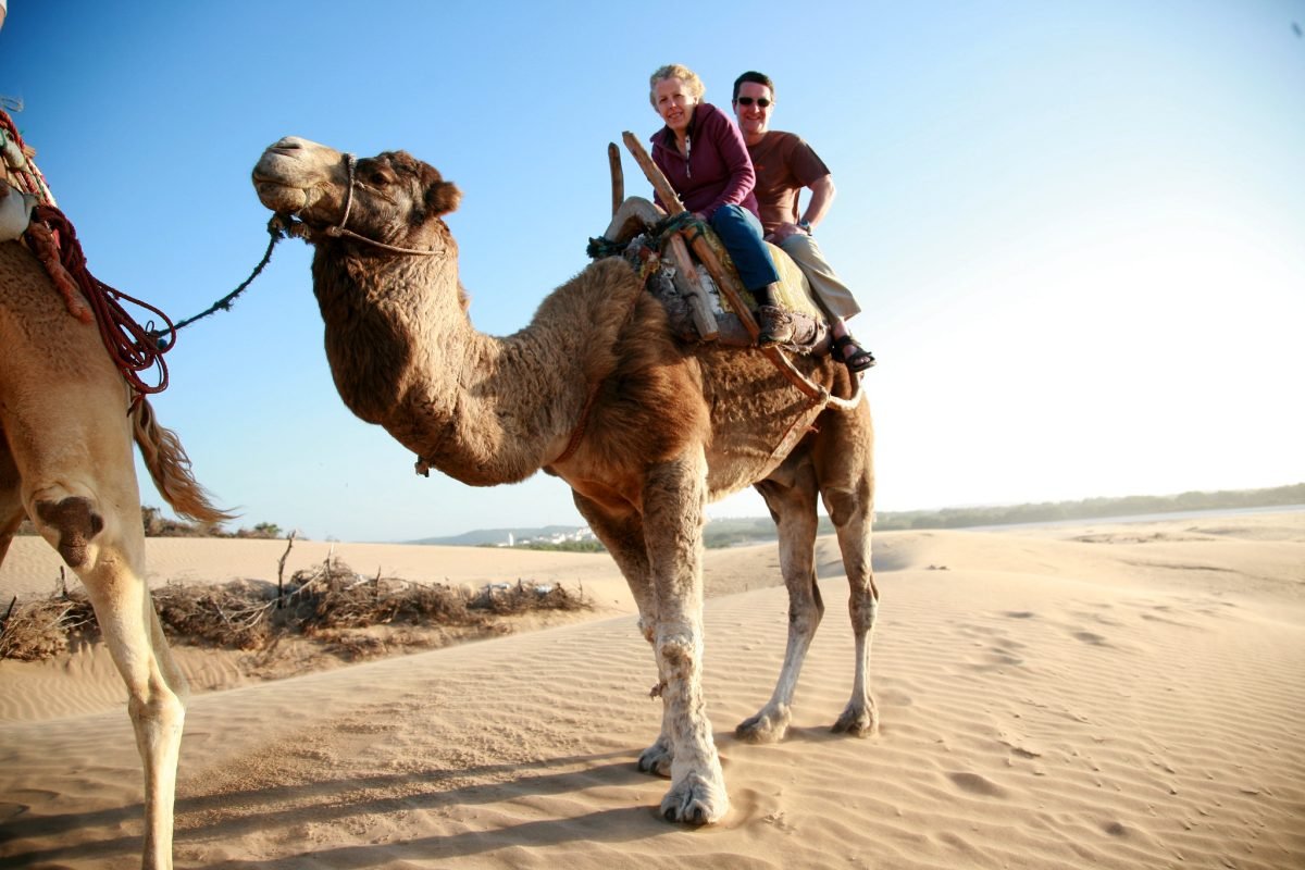 Agadir Kamelritt