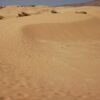 Taghazout Desert tour