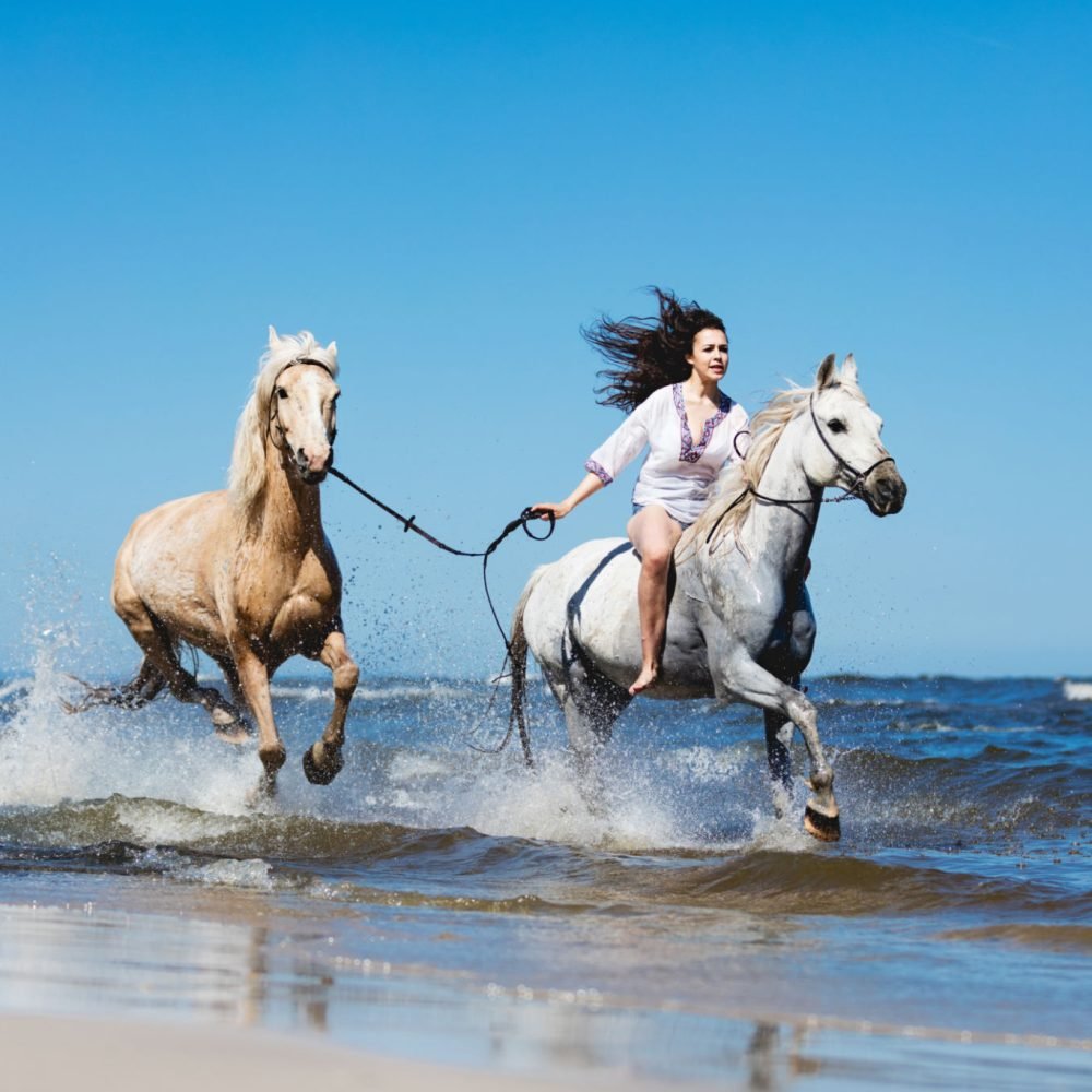 Agadir Horse Ride