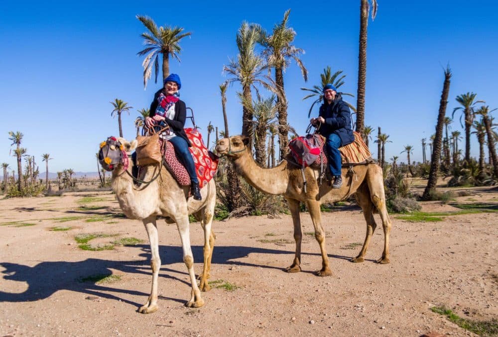 The Ultimate Guide to Camel Rides in Morocco - ecolodge adventures