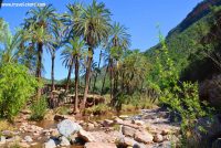 Paradise Valley Trip from Agadir