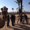 Marrakech Bike Tour