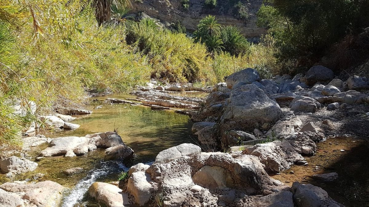 Paradise Valley Trip With Camel Ride in Agadir