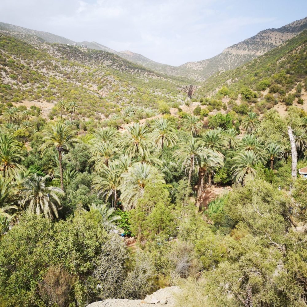 Paradise Valley Day Trip From Agadir