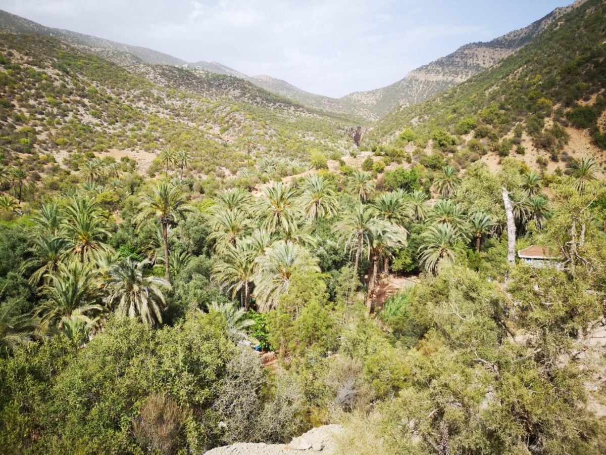 Paradise Valley Day Trip From Agadir