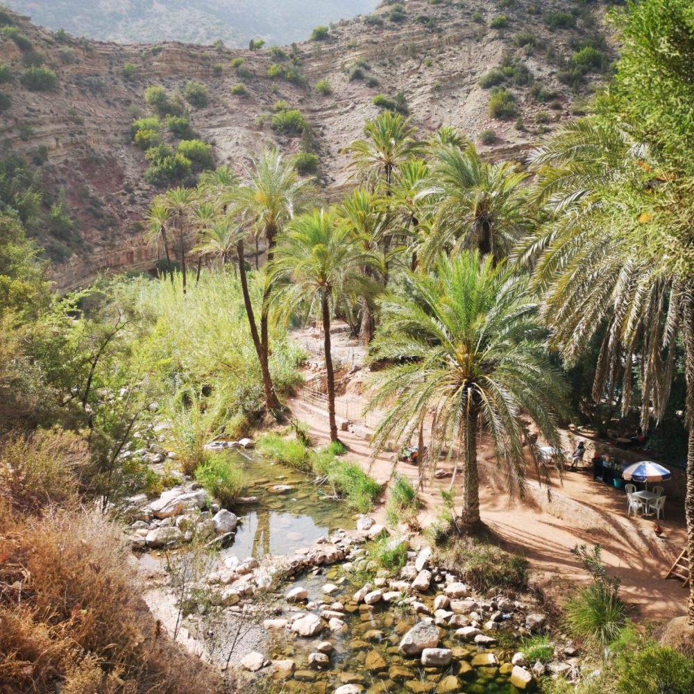 Paradise Valley Day Trip From Agadir