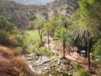 Paradise Valley Day Trip From Agadir