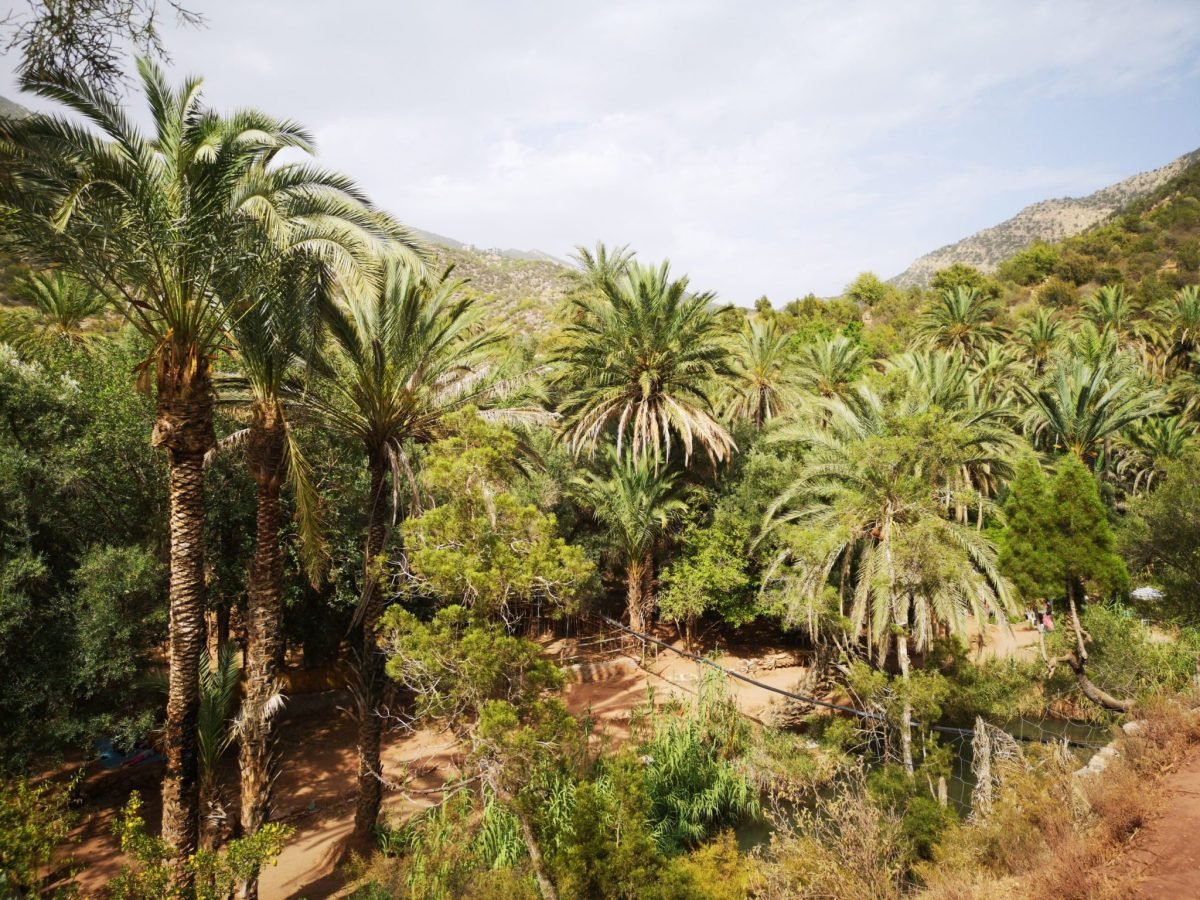 Paradise Valley Day Trip From Agadir