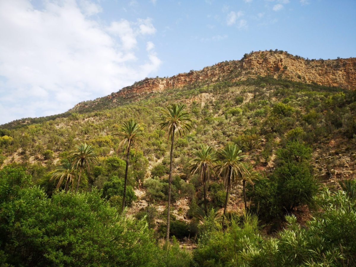 Paradise Valley Day Trip From Agadir