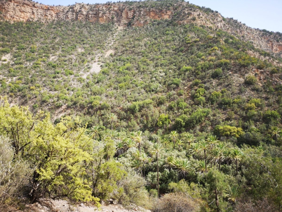 Paradise Valley Day Trip From Agadir