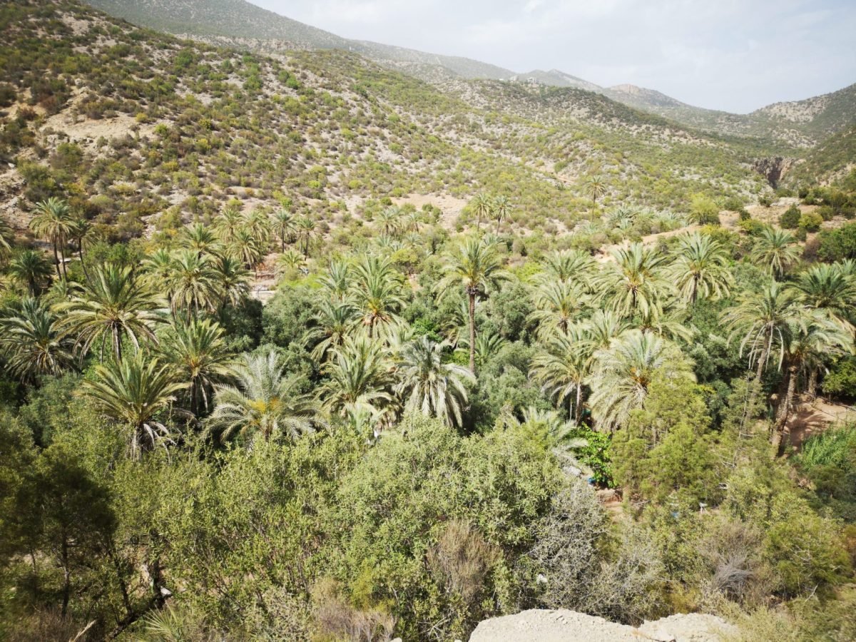 Paradise Valley Day Trip From Agadir