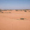 Wüstenausflüge in Agadir