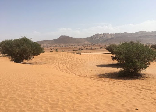 Wüstenausflüge in Agadir