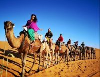 Merzouga Desert Trip From Marrakech 3 Days 2 Nights