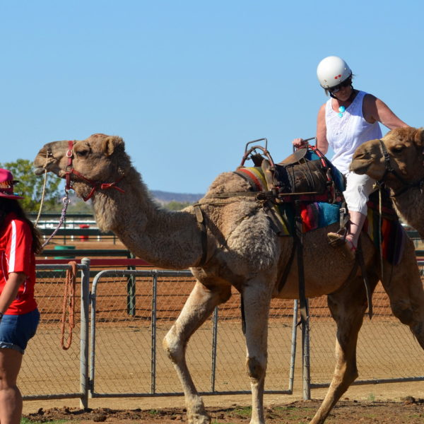 Promenade à dos de chameau à Agadir
