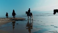 Horse ride in Taghazout