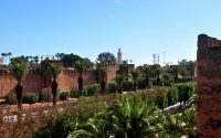 Taroudant Day Trip From Taghazout