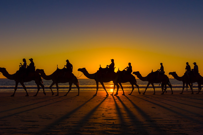 Camel Ride in Agadir at Sunset