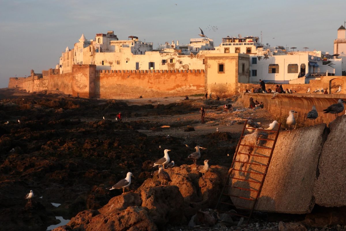 ​Essaouira day trip from Taghazout