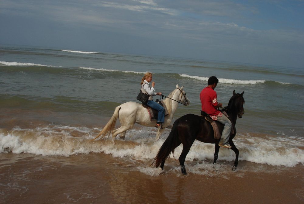 Essaouira Horse Ride