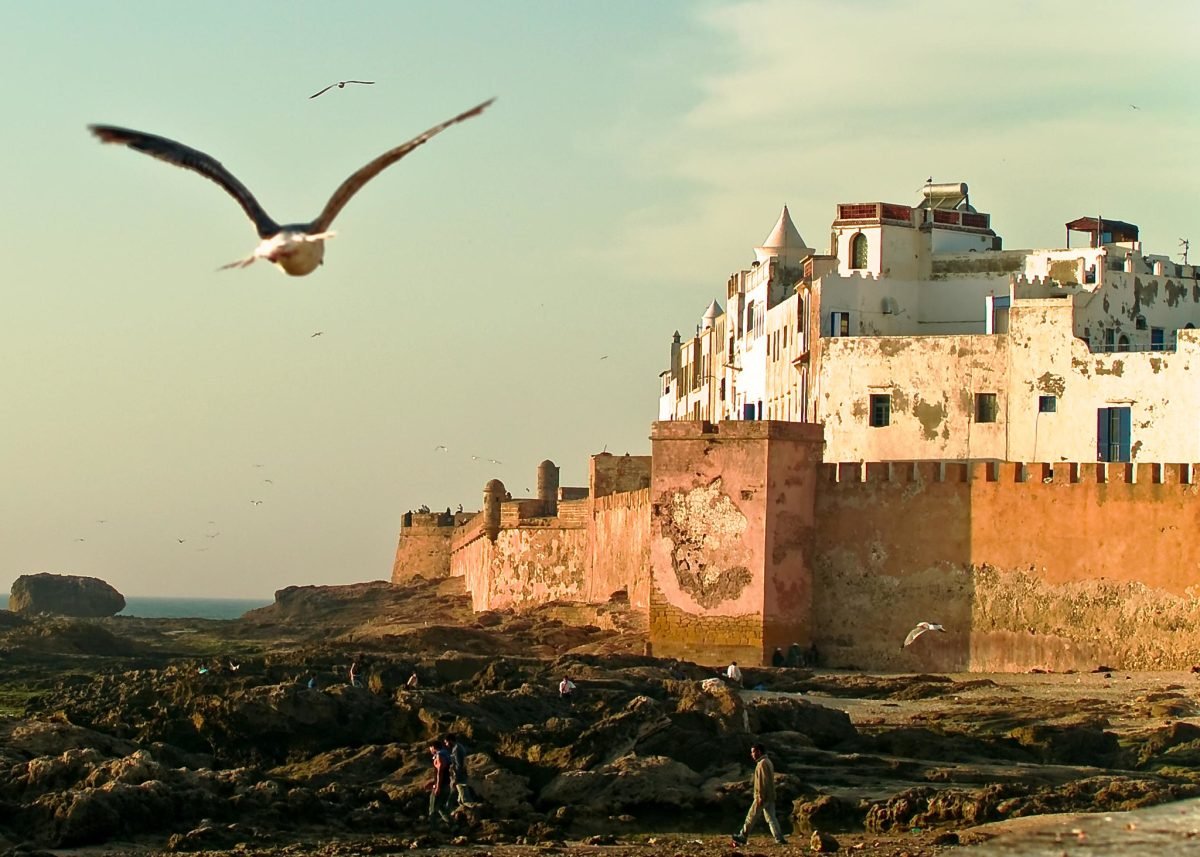 ​Essaouira day trip from Taghazout