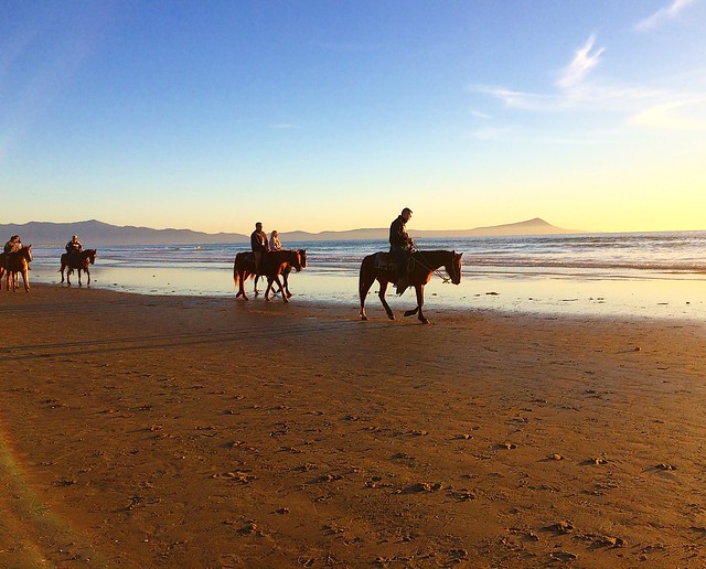 Horse ride in Taghazout
