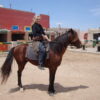 Essaouira Horse Ride