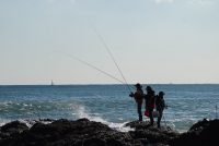 Fishing Trip in Agadir From Shore
