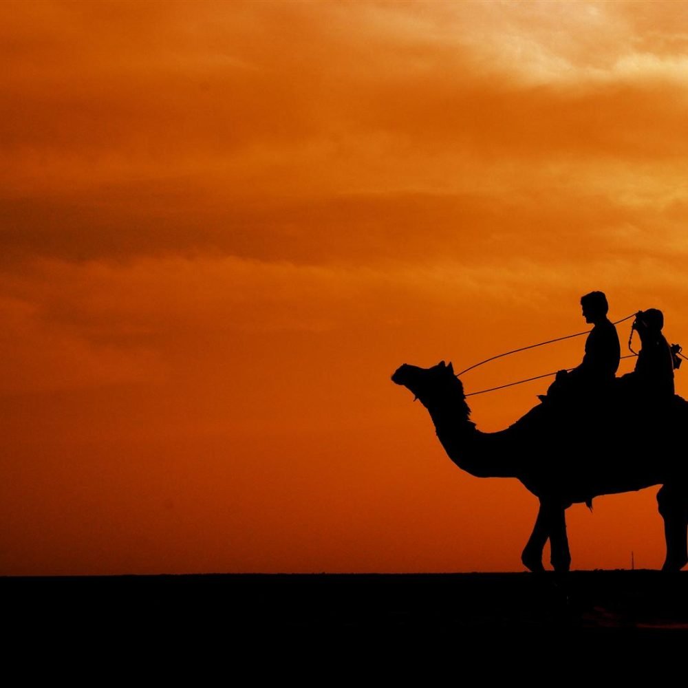 Camel Ride in Agadir