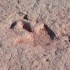 Dinosaur Footprints Trip From Agadir