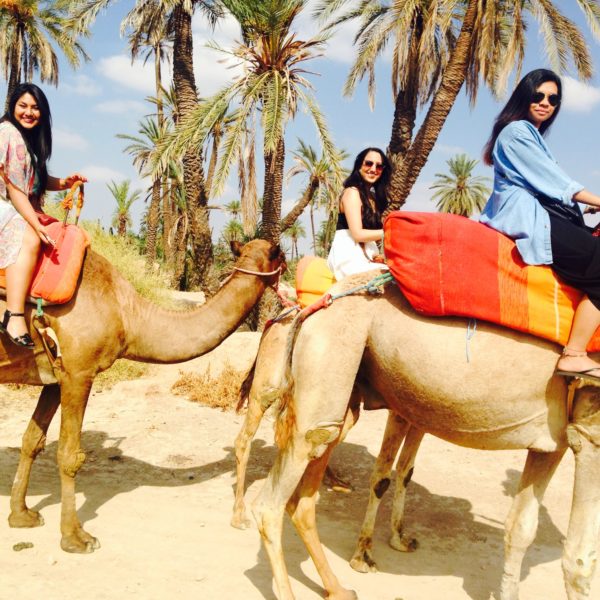 Paseo en camello por Marrakech