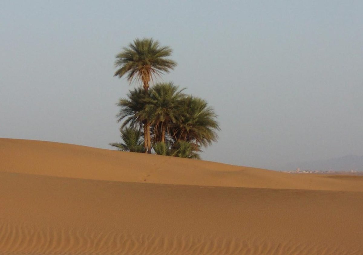 2 Dias Desde Marrakech al Desierto Zagora