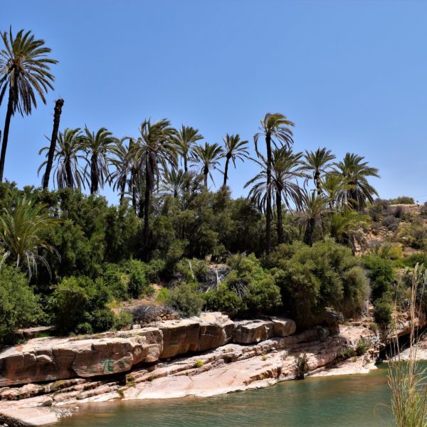 Excursión a Paradise Valley Desde Agadir