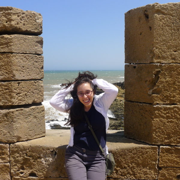 Excursión de Essaouira desde Agadir