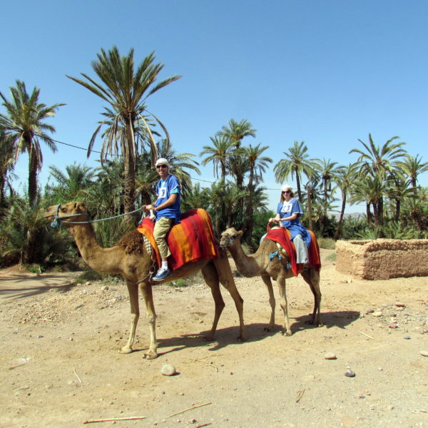 Tour por la ciudad de Agadir