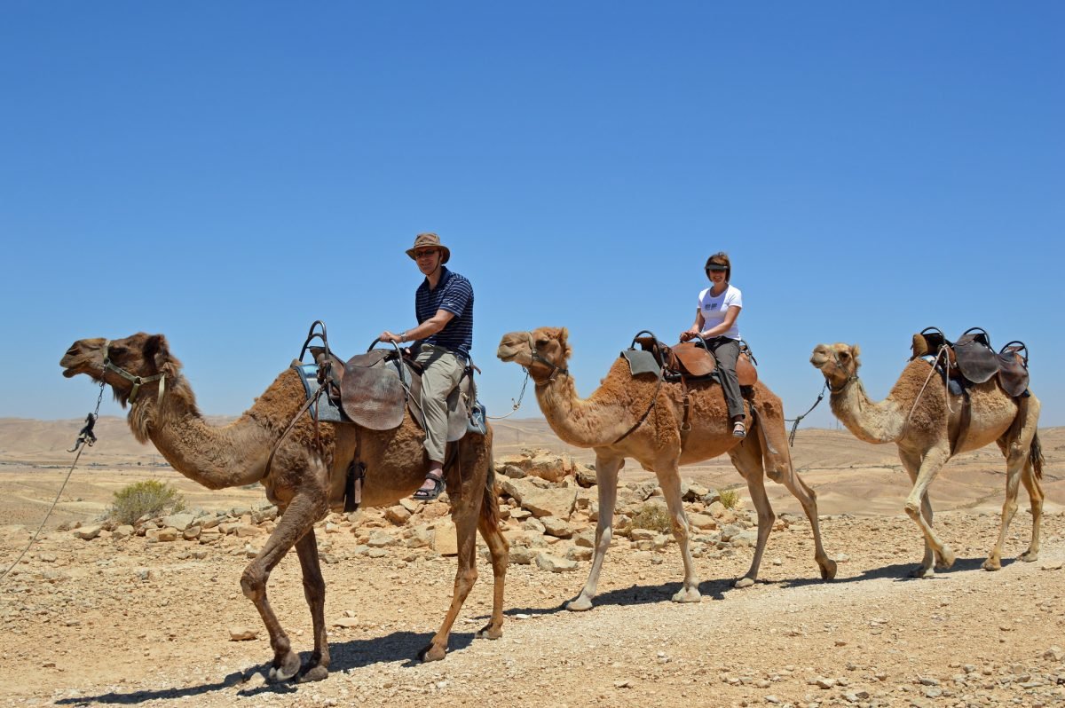 Paseo en camello por Agadir