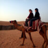 Camel Ride in Salalah