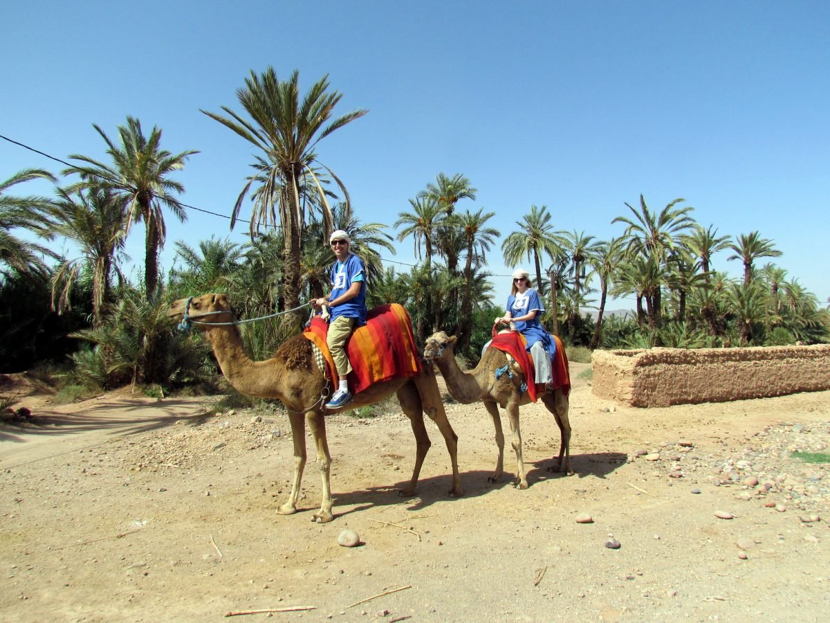 Giro in cammello a Marrakech