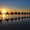 Passeio de camelo de Agadir