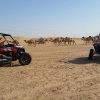 Passeio de buggy em Agadir