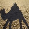 Passeio de camelo de Agadir